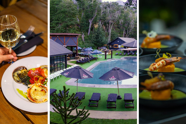 <span>Programa </span>Especial